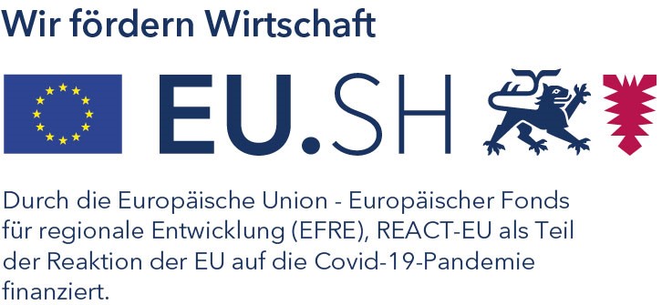 SH EU Logo EFRE